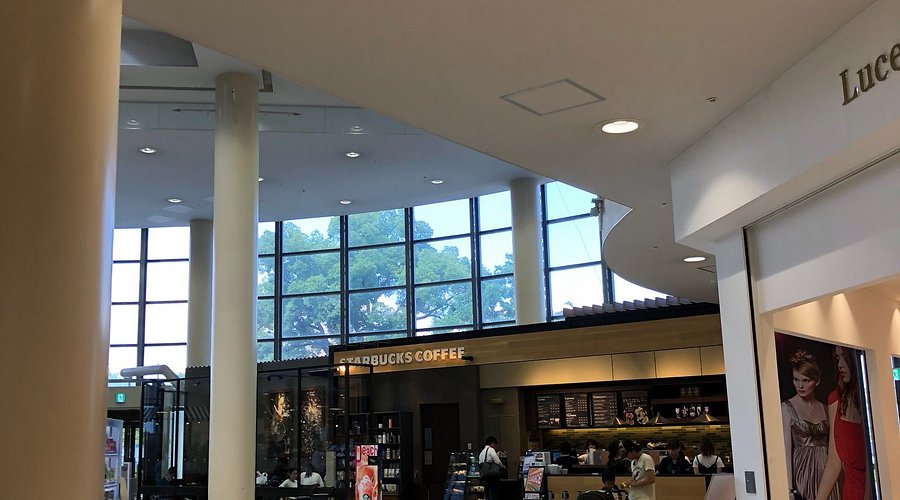 風景が良いスタバ - スターバックス・コーヒー アクアシティお台場店のクチコミ - じゃらんnet