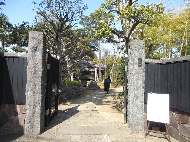 小田原市ブログトップ