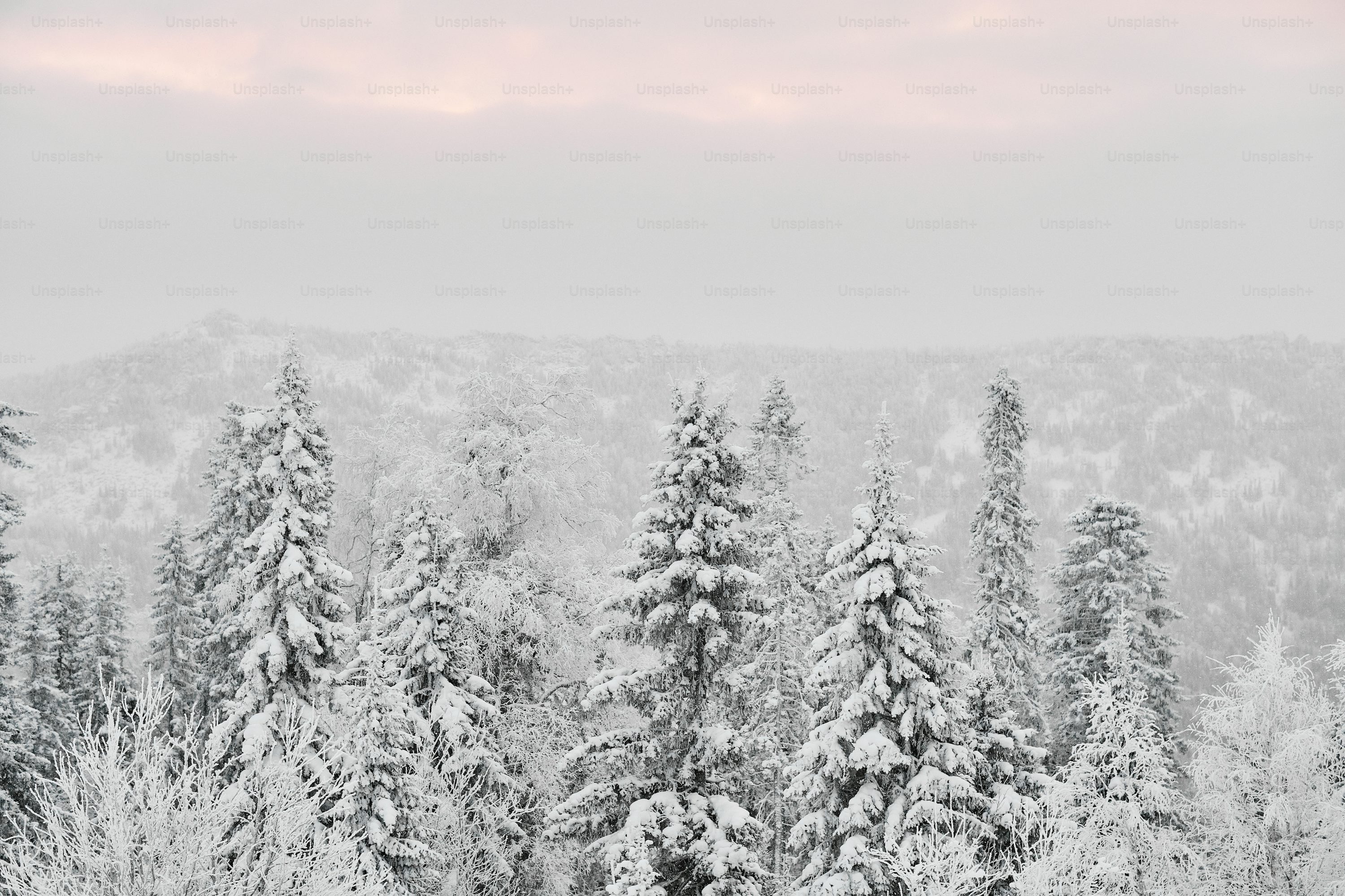 ソ連「ウラルの核惨事」関連地図