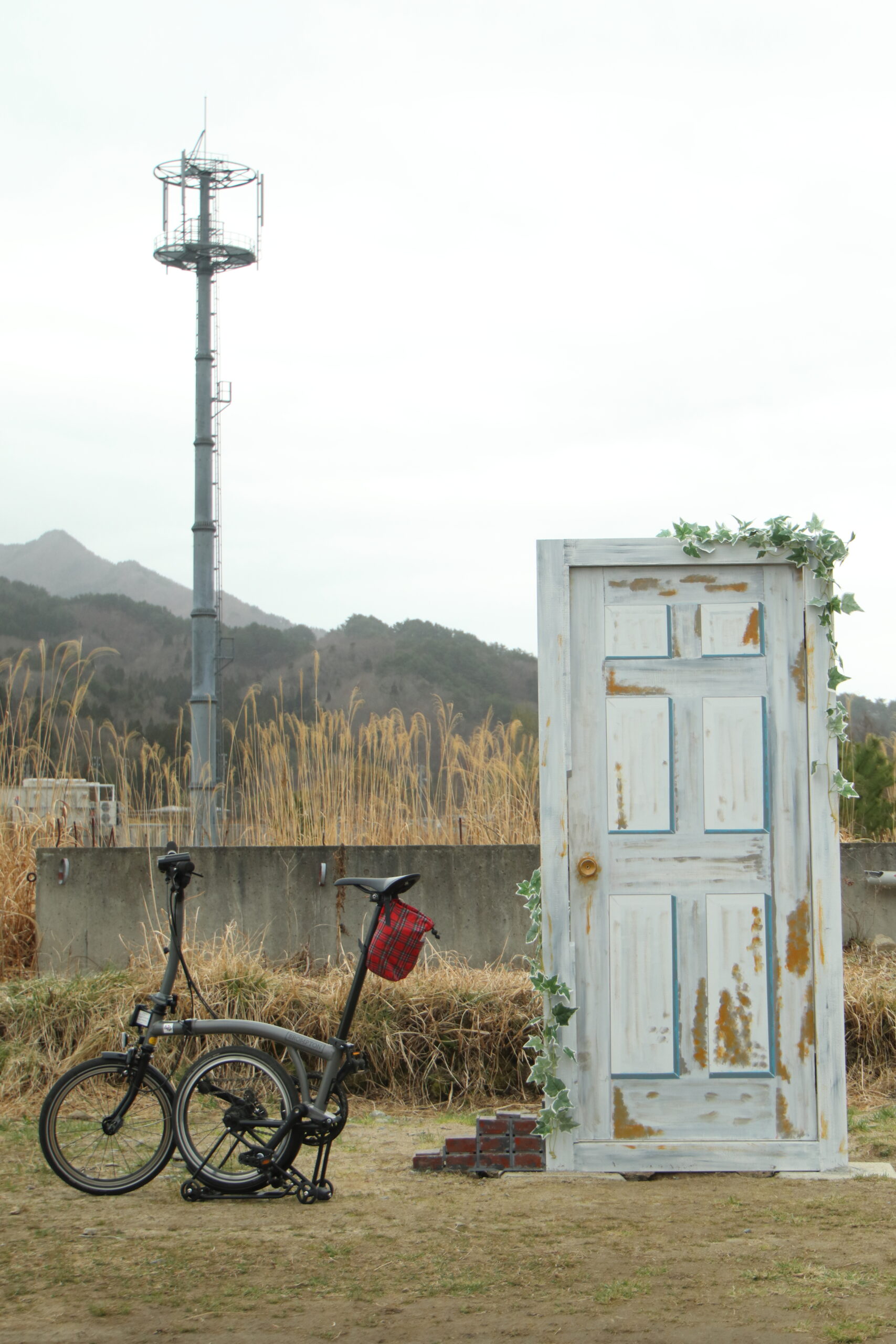 Amazon.co.jp: 折りたたみ自転車で旅に出る ヤエスメディアムック893: CYCLE SPORTS編集部: 本