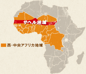 サヘルの平和と安定を目指し人づくりアフリカひろば - JICA