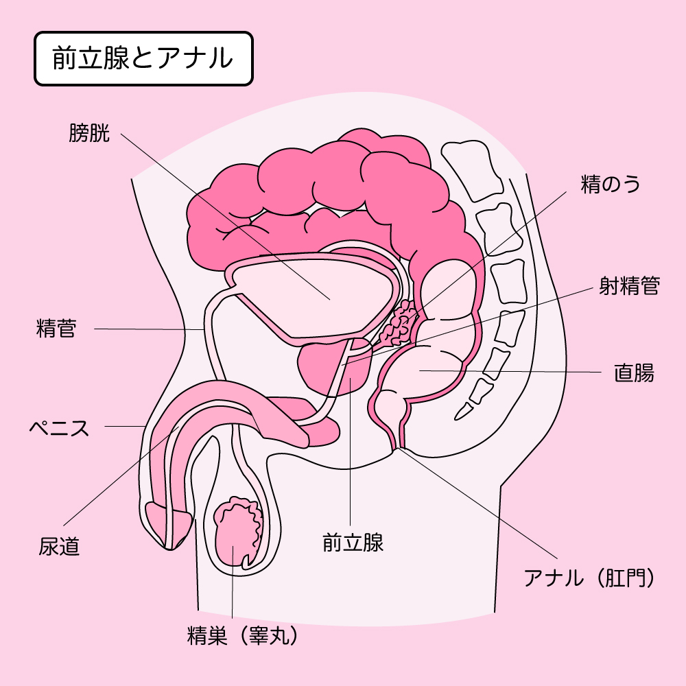 特集 兄弟×本能】兄弟なのに、男同士なのに…この感情は理性を振り切って止まらない - まんが王国