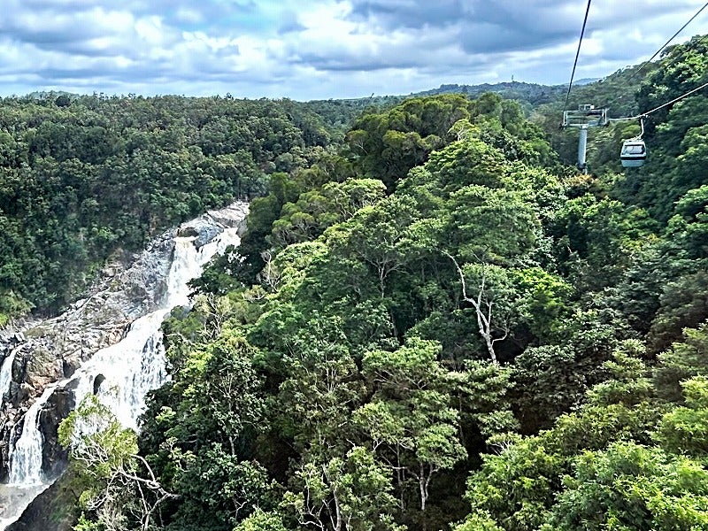 スカイレール レインフォレスト ケーブルウェイ クチコミ・アクセス・営業時間ケアンズ フォートラベル