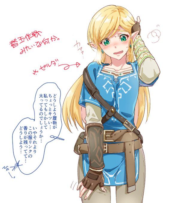 BotW考察 100年前のリンクの経歴や性格、利き手問題などを調べてみた - ハイラルノコトバ