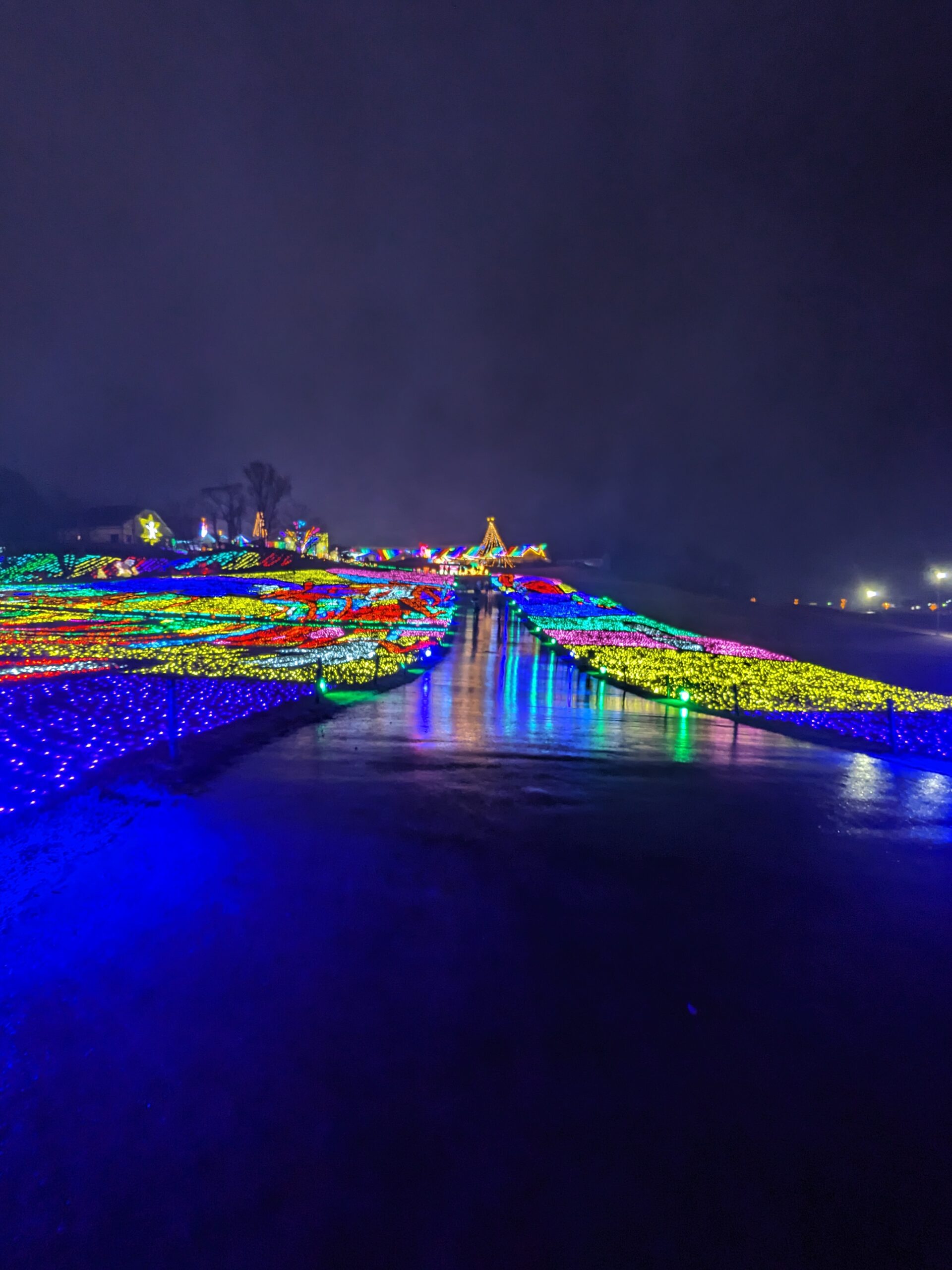 イルミネーション東京ドイツ村千葉県袖ケ浦市にある花と緑のテーマパーク