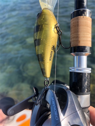 泡瀬漁港の釣り場で何を狙う？│穴場スポットを360度写真付きで紹介！360.com