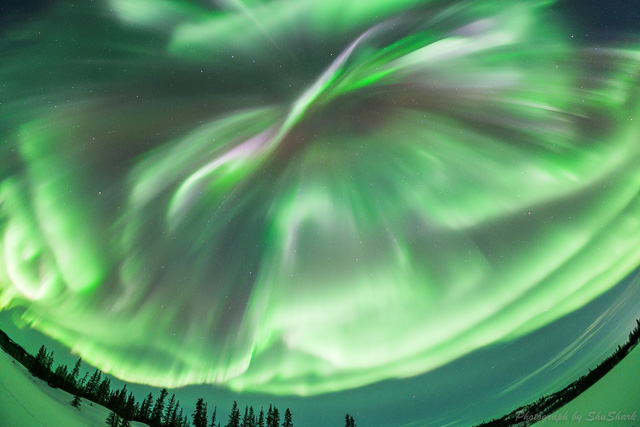 ニュージー生活：テカポで念願の南半球のオーロラを見たAki.tabi1000