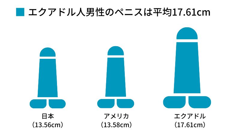 男性器の大きさについて｜大東製薬工業株式会社