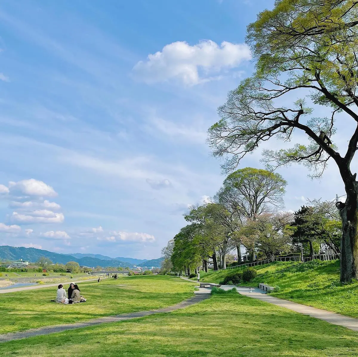 春の鴨川ピクニック京都はんなりロマンチカ