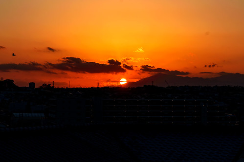 2016年、みなとみらいの臨港パークから見た初日の出はどんな感じ？ -はまれぽ.com横浜 川崎 湘南 神奈川県の地域情報サイト