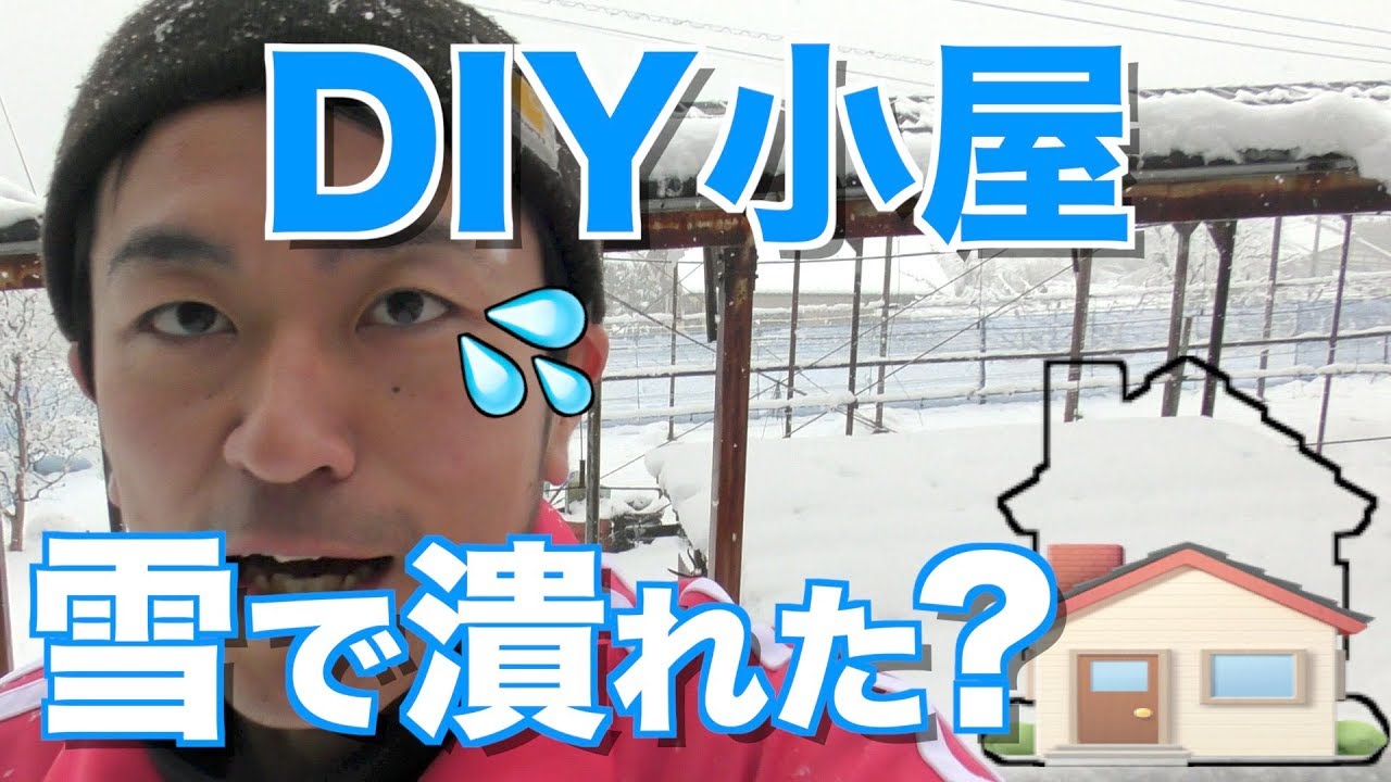 タクボガレージ ベルフォーマスクード XM-SZ3153 多雪型 結露減少屋根 CS-SZ2760 DIY