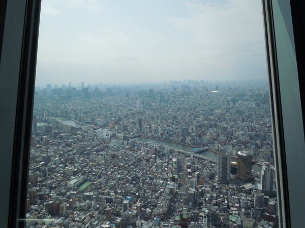 なんと50％割引も！ スカイツリーのチケット割引方法まとめ クーポン・前売り予約・トイストーリーとコラボ おしあげ探検隊