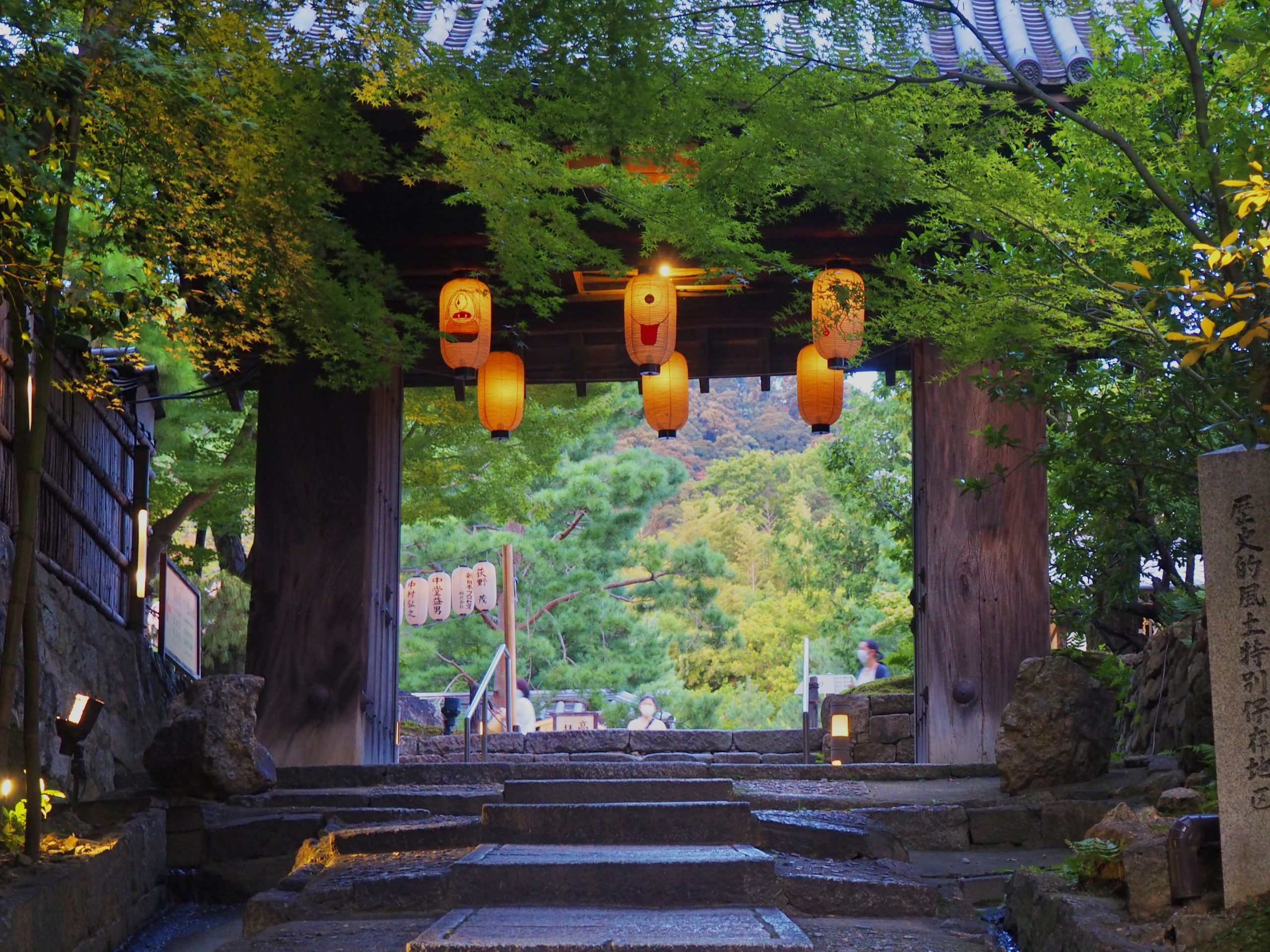 女子旅 で行きたい！国内旅行「おすすめスポット」14選～地域別にご紹介～旅Pocket