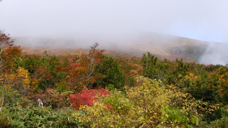 神の絨毯・栗駒山