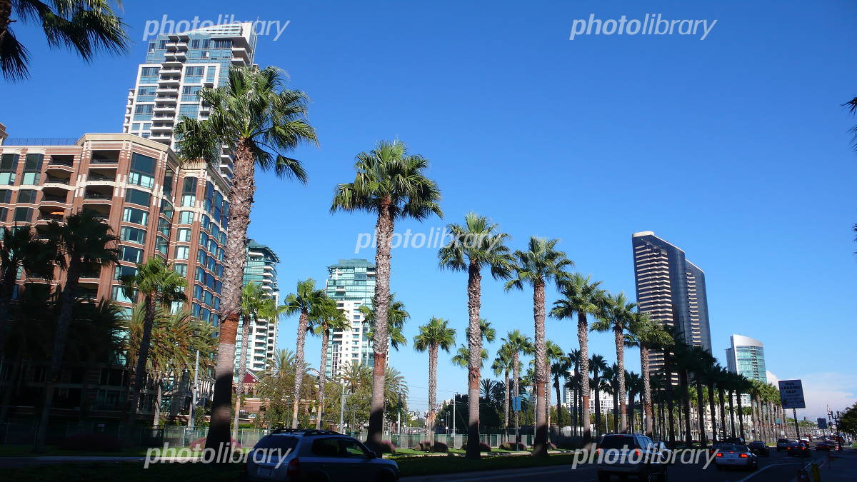 サンディエゴのエリア情報を解説！観光、生活にはどこがおすすめ？スクールウィズ - 英語力UPの留学エージェント