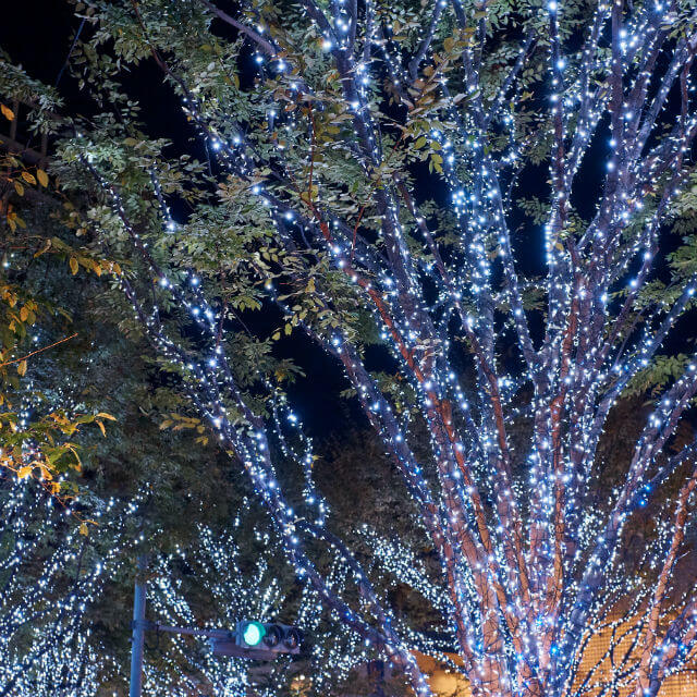 今年のSNOW QUEENは葵わかなさん！ 70万灯の光輝く「けやき坂イルミネーション」点灯式ヒルズライフ HILLS LIFE