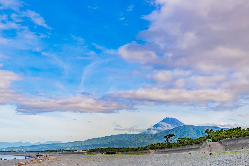 千本浜公園 沼津市 静岡新聞アットエス