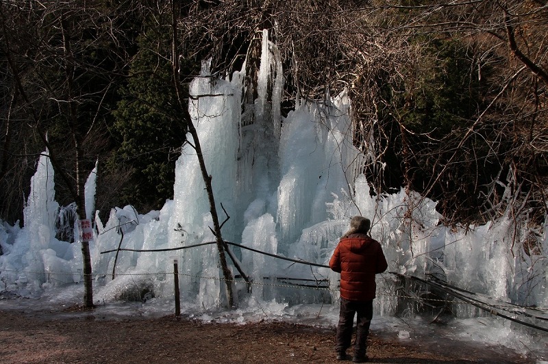 受付終了 ちちぶ三大氷柱めぐりバスツアー2025冬の秩父を楽しむ！ 三大氷柱めぐりバスツアー2025埼玉県秩父郡横瀬町いこーよとりっぷ
