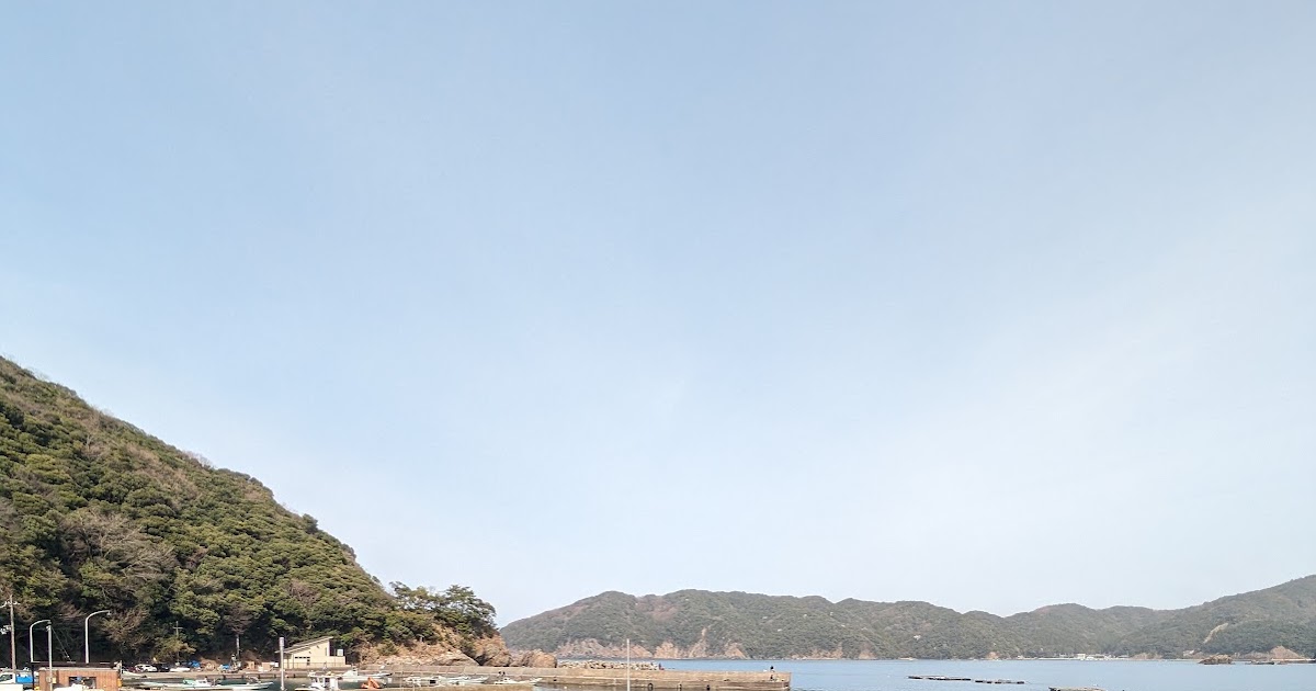 宇久漁港で釣れたアオリイカの釣り・釣果情報 - アングラーズ釣果600万件の魚釣り情報サイト