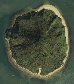 絶海？？おむすび孤島 大槌島-2022-03-02じろじろさんの坂出市の活動データYAMAPヤマップ