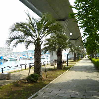 京急、「ウィングキッチン金沢八景」2020年2月28日開業 金沢八景駅直結の商業施設。全11店舗 - トラベル Watch