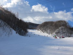 天気良く、ゲレンデは賑やかです！ 🏂 現在、国設第一ゲレンデには緩斜面のコブコースを作成中ですが、下地が硬くてなかなかコブに仕上がりません。コブづくりに協力してくださった皆さん、本当にありがとうございました！ これからも皆さんが楽しんでいただけるような