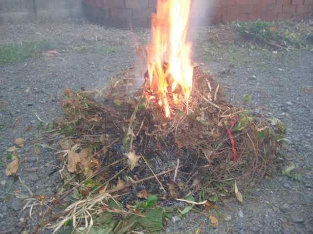 焚き火 落ち葉・枯れ葉 のイラスト素材233855486- イメージマート