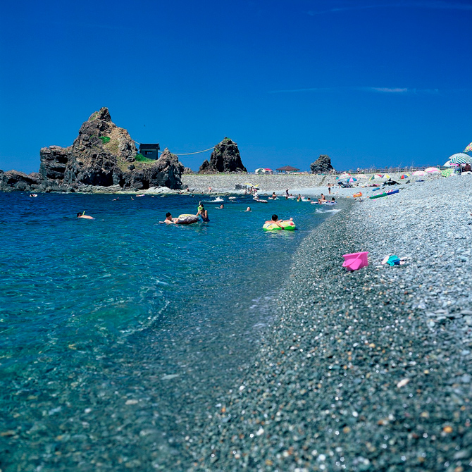 海の木がある美しい岩場のビーチPremium写真