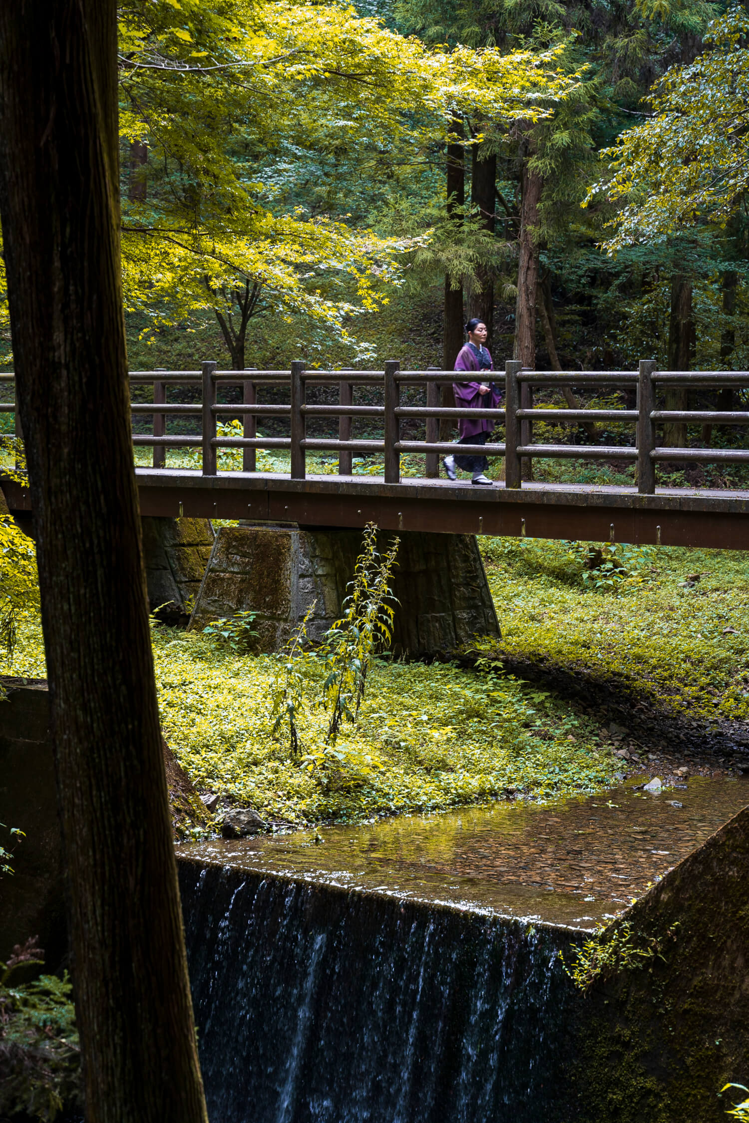 八王子市 ８時間耐久「ガチ」の八王子心霊スポット巡礼ツアー。お化け屋敷じゃないよ！キャ〜怖！号外NET 八王子市