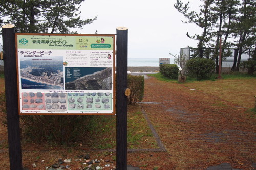 ラベンダービーチ 新潟県糸魚川市: 風兎竜 kaze to ryuu