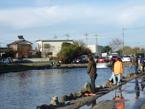 おすすめ釣り堀 埼玉県編 ～釣り初心者・子供連れに最適