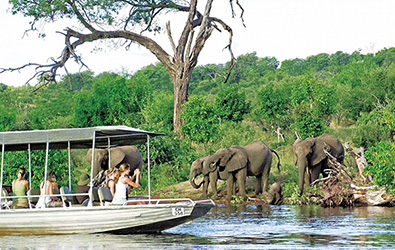 ケニアでサファリツアー体験！アフリカ屈指のサバンナ王国を楽しもう