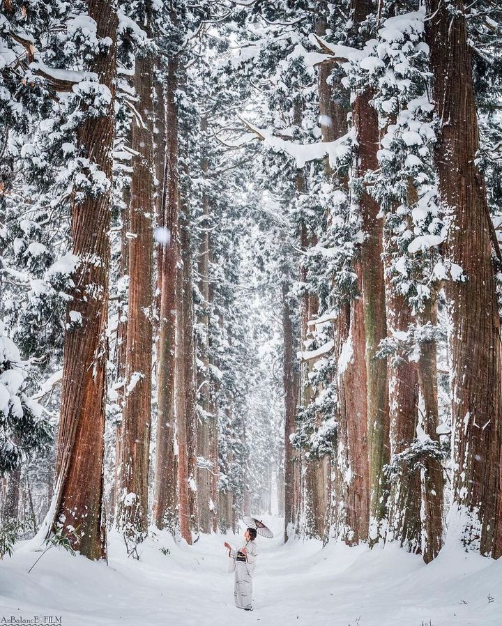 長野県 冬のおすすめ観光スポット＆温泉宿10選！軽井沢や鹿教湯温泉、車山高原など じゃらんニュース
