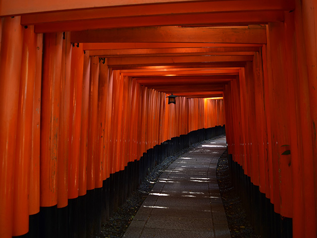 京都神社めぐり 千本鳥居も楽勝撮影！日本を代表する観光スポット「伏見稲荷大社」NAVITIME Travel