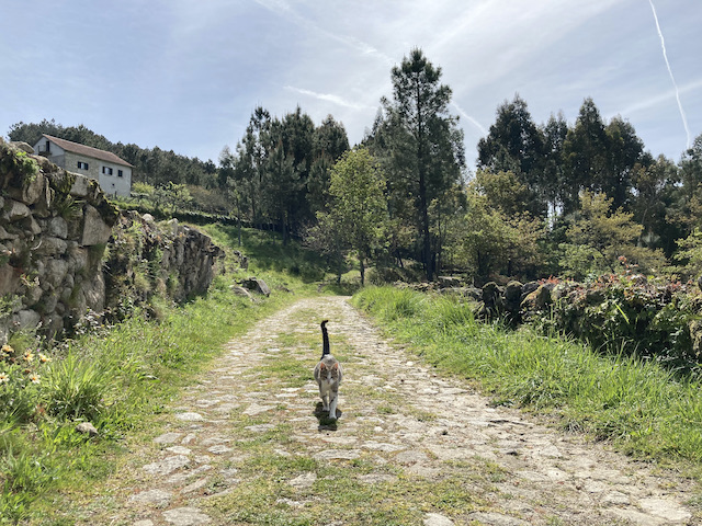 スペインの田園風景 写真素材3486640- フォトライブラリ