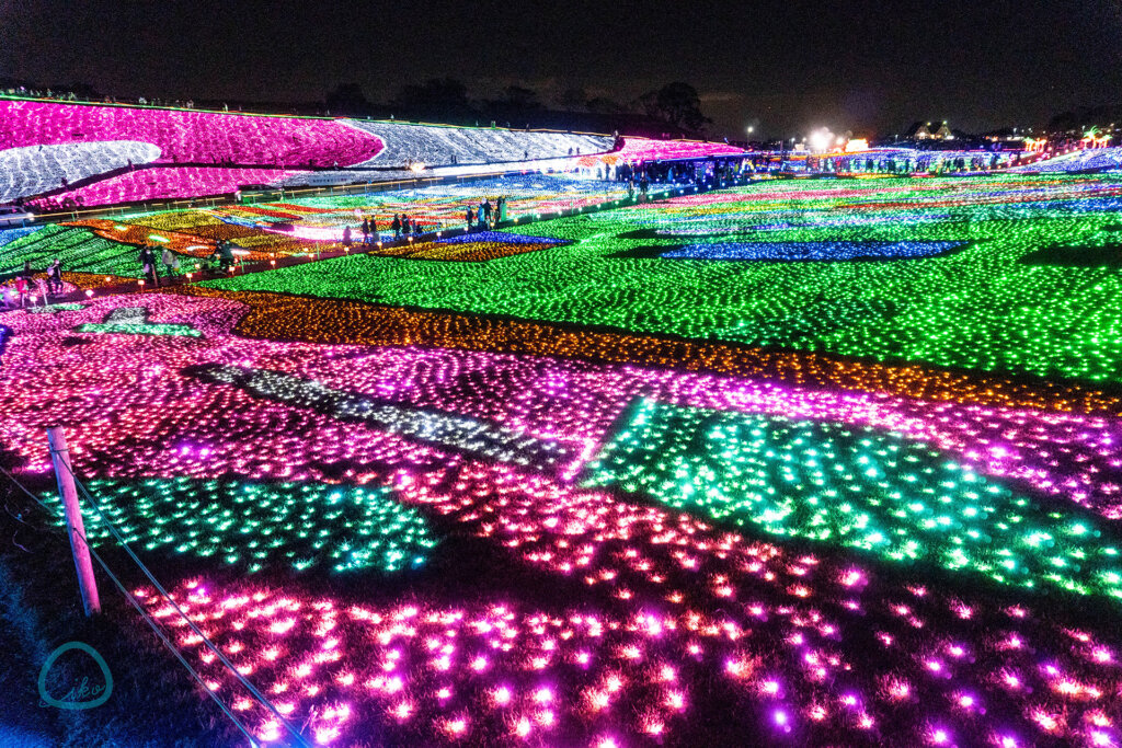 🎄東京ドイツ村のクリスマス🎄 東京ドイツ村では ▫️ウィンターイルミネーション ▫️クリスマスマーケット ▫️ドローンショー 開催中です‼️東京ドイツ村でしか楽しめない冬のイベントが 盛りだくさんです⛄️💗 楽しい冬の思い出つくりませんか？ 東京ドイツ村で