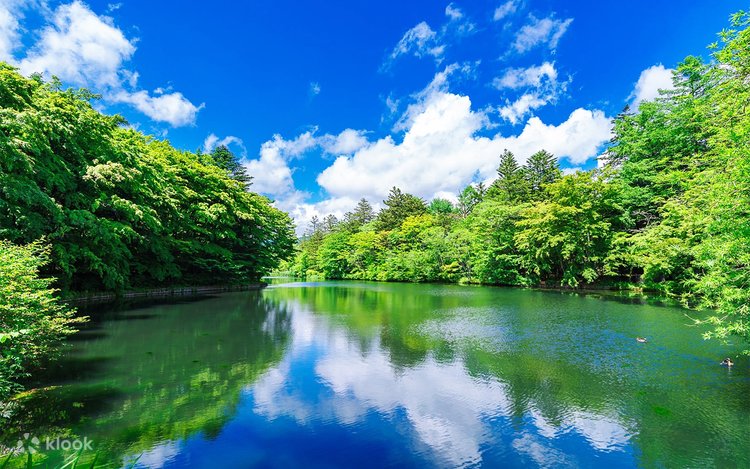 奥軽井沢温泉 暁の湯ホテルグリーンプラザ軽井沢
