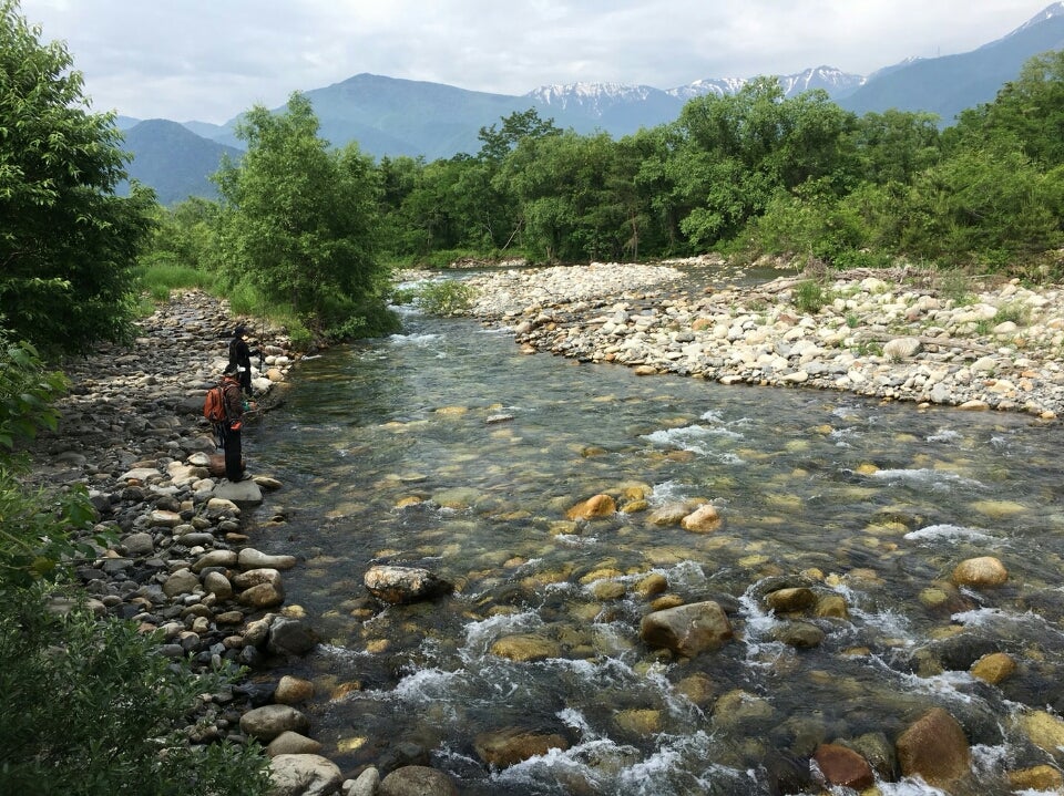 本当は外来魚ばかり！？ 上高地の梓川に生息するサカナの真実とは - 山と溪谷オンライン