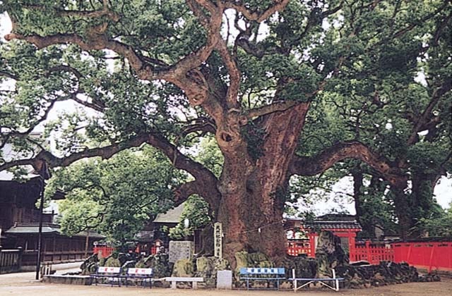 光正寺古墳 こうしょうじこふん観光スポット一覧公式 福岡市観光情報サイト よかなび