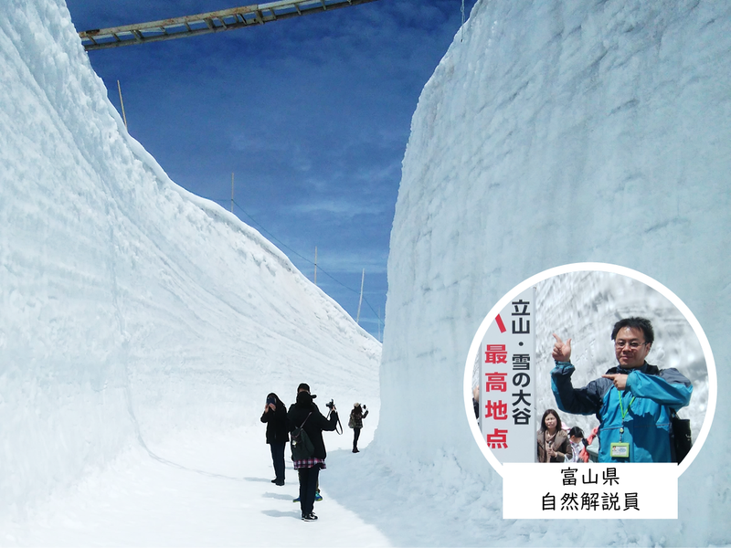 立山登山 立山黒部アルペンルートルート！バスとケーブルだけで天空の絶景登山