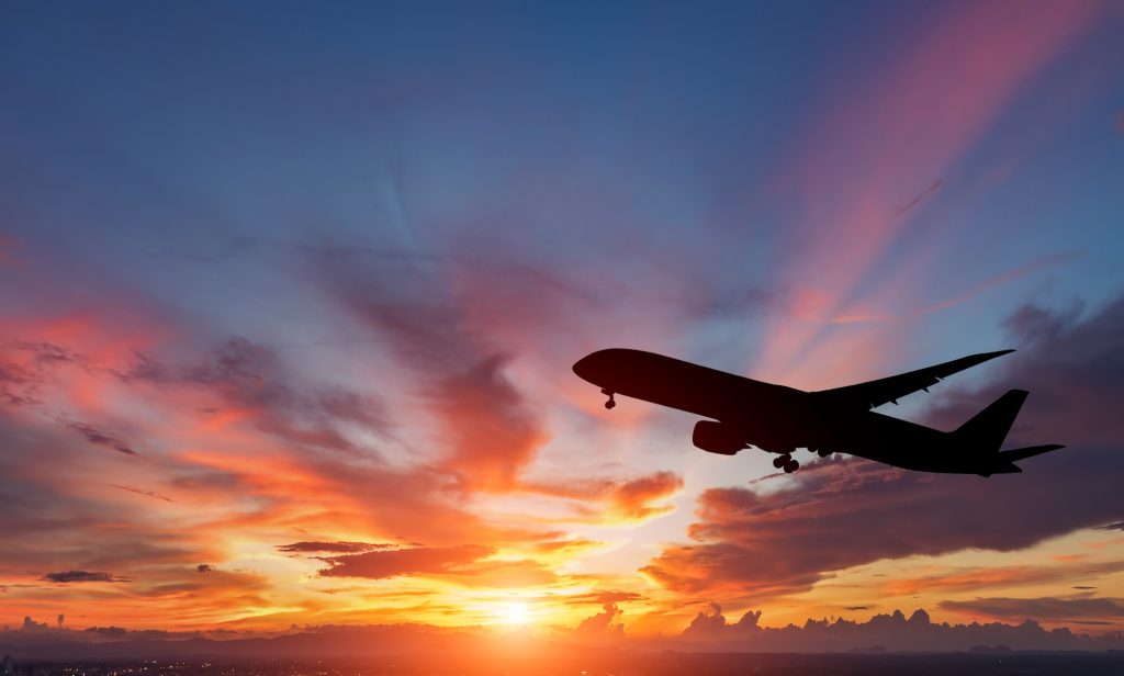 夜中の飛行機たちねことバイクと、ときどきおかん