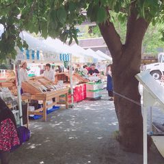 Time Alive太陽のマルシェ