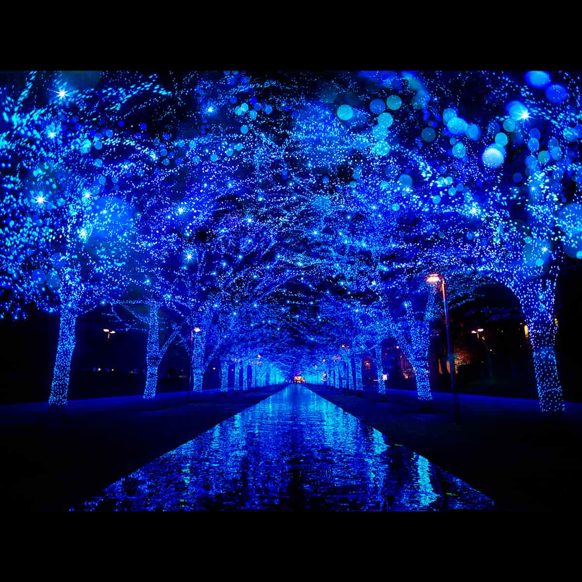 東京都内のイルミネーションスポットのおすすめ人気ランキング 2025年マイベスト