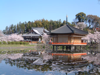 桜井市の観光スポットランキングTOP10 - じゃらんnet