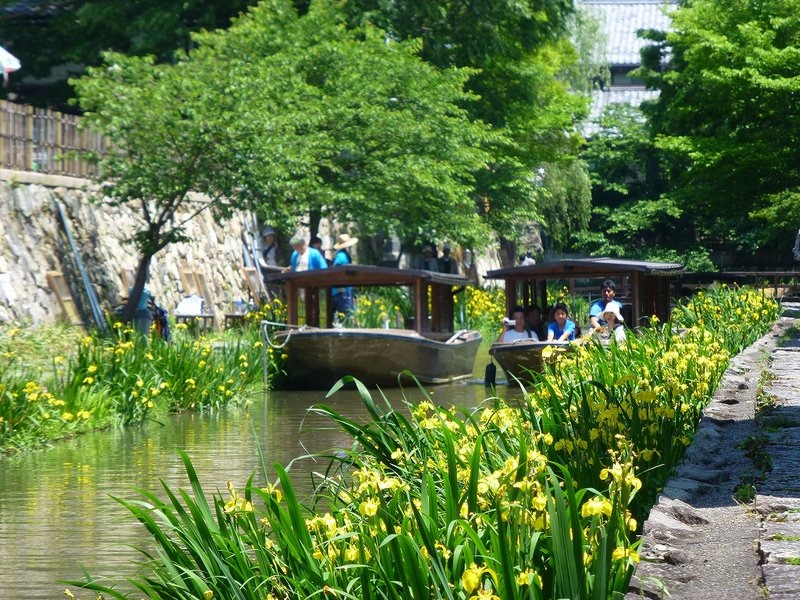 2025年 八幡堀めぐり - 出発前に知っておくべきことすべて - トリップアドバイザ