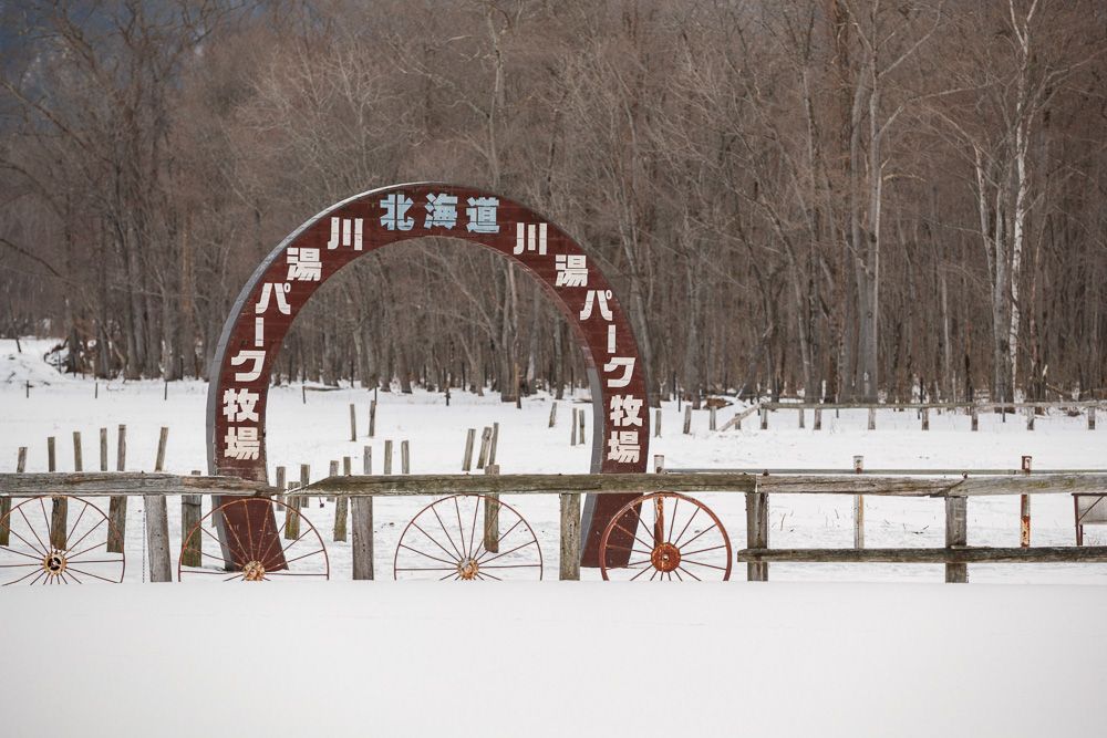 人気の川湯パーク牧場の口コミと評判北海道乗馬クラブEQUIA エクイア