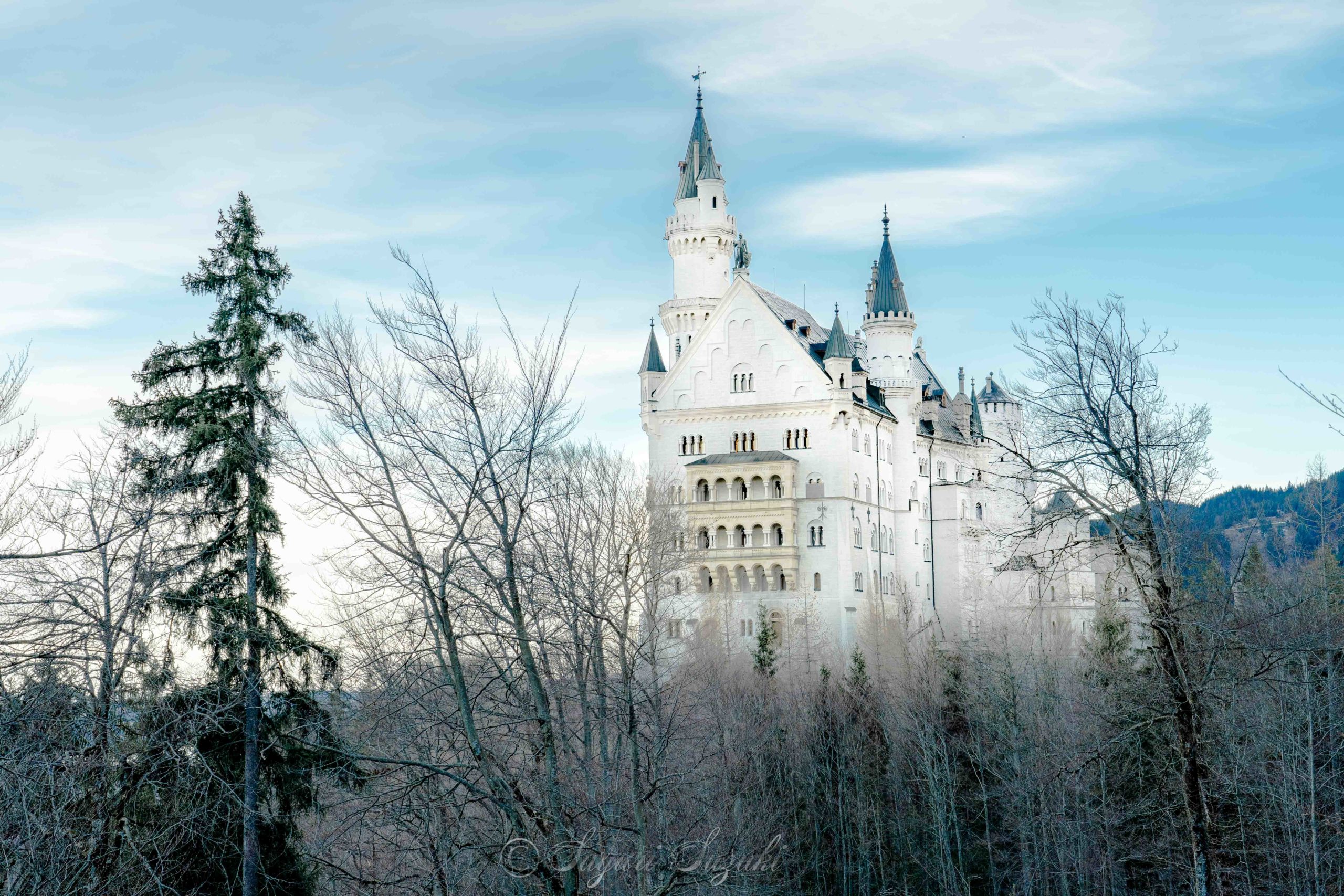 ドイツ ミュンヘンからノイシュバンシュタイン城への行き方🏰✨旅のリアルはいつもドタバタ🤣 前編