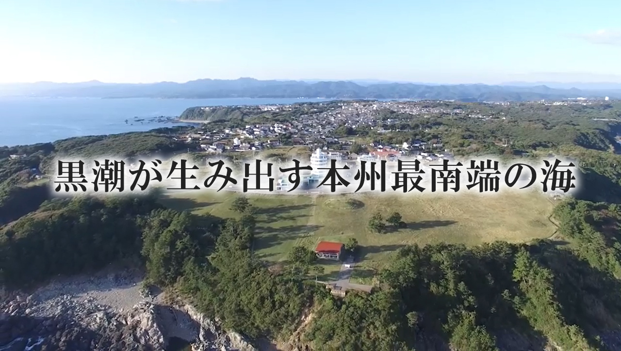 潮岬 本州最南端の風景の写真素材221633128 毎月1点無料 フリー のストックフォト イメージマート