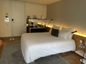 フランス&スペイン2カ国旅行の予算はいくら？コロナ後の最新情報をまとめましたTARIP