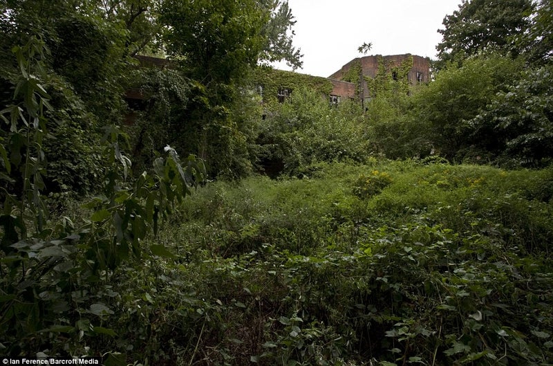 ニューヨークのノース・ブラザー島、放棄された島 : r urbanexploration